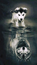 Load image into Gallery viewer, Husky Wolf Reflection Paint with diamonds kit
