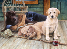 Load image into Gallery viewer, Labrador Dog - 5D Diamond Painting