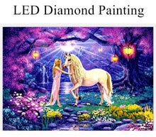 Load image into Gallery viewer, Unicorn & Princess LED Kit
