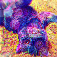 Load image into Gallery viewer, Kitten Art - Special Diamond Painting