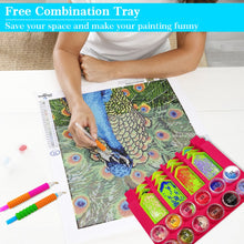 Load image into Gallery viewer, Diamond Drills Tray Holder