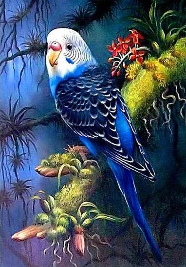 Adorable Blue Australian Parrot