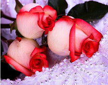 Load image into Gallery viewer, Rosebuds