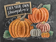 Load image into Gallery viewer, Beautiful Pumpkin DIY Painting