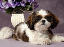 Load image into Gallery viewer, paint with diamonds