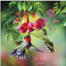 Load image into Gallery viewer, Hummingbird and Flowers paint by diamonds