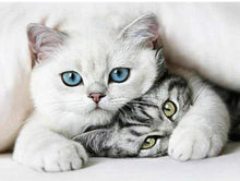 Load image into Gallery viewer, Adorable Little Cats