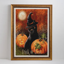 Load image into Gallery viewer, Black Cat & Pumpkin