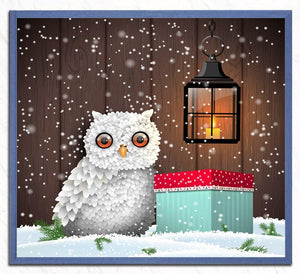 Christmas Gift & White Owl in Snow