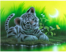 Load image into Gallery viewer, Tigers & Rabbits Diamond Art Collection