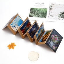 Load image into Gallery viewer, Multi Colour Roses In Vase Album Cover