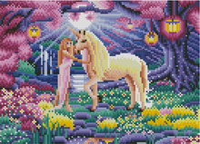 Load image into Gallery viewer, Princess and Unicorn LED Art-Kit