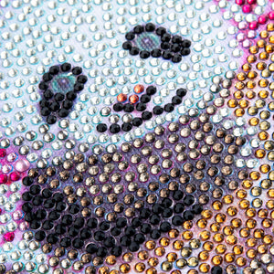 A Panda's Dream Special Paint By Diamond kit