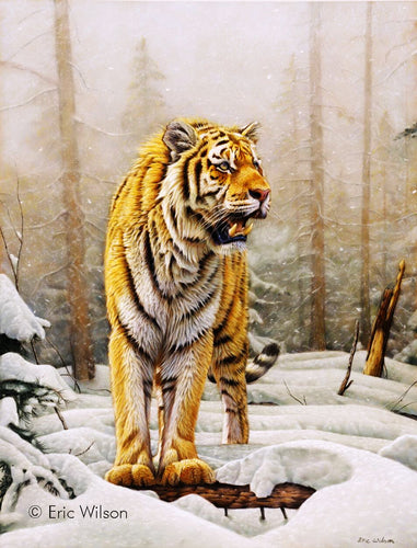 Siberian Tiger in snowfall