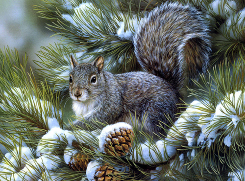 Squirrel - 5D Diamond Painting