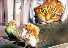 Load image into Gallery viewer, Beautiful Cat Watching Other Animals - 5D Diamond Painting