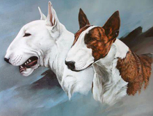 Load image into Gallery viewer, Beautiful Dogs Animals Paint By Diamonds - Art Kit