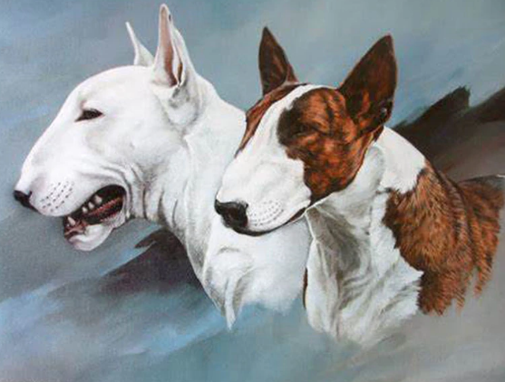 Beautiful Dogs Animals Paint By Diamonds - Art Kit