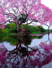 Load image into Gallery viewer, Beautiful Scene view 5D Diamond Painting