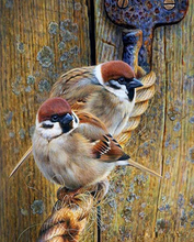 Load image into Gallery viewer, Beautiful  Sparrow Couple - 5D Diamond Painting