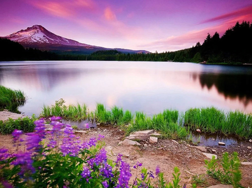 Beautiful Sunset Scene - Diamond Painting