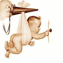 Load image into Gallery viewer, Bird is holding Baby - 5D Diamond Painting