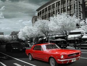 Red Car with Black and White Scenery