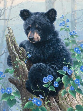 Black Bear - 5D Diamond Art Painting
