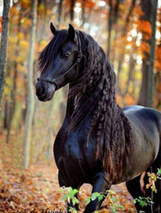 Horse DIY Painting Kit