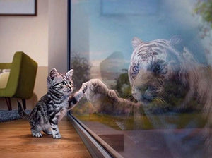 Cat & Tiger DIY Painting