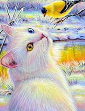 Load image into Gallery viewer, Cat and Bird - 5D Diamond Painting