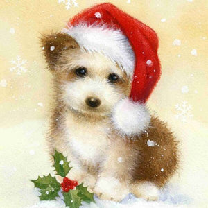 Christmas little Dog with Christmas Cap