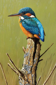 Colored Bird Sitting on Bough - Diamonds Painting