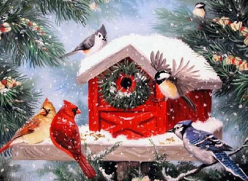 Colored Birds in winter Snow - 5D Diamond Art