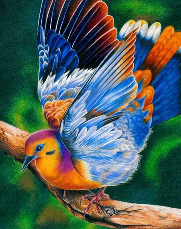 Dove Diamond Painting