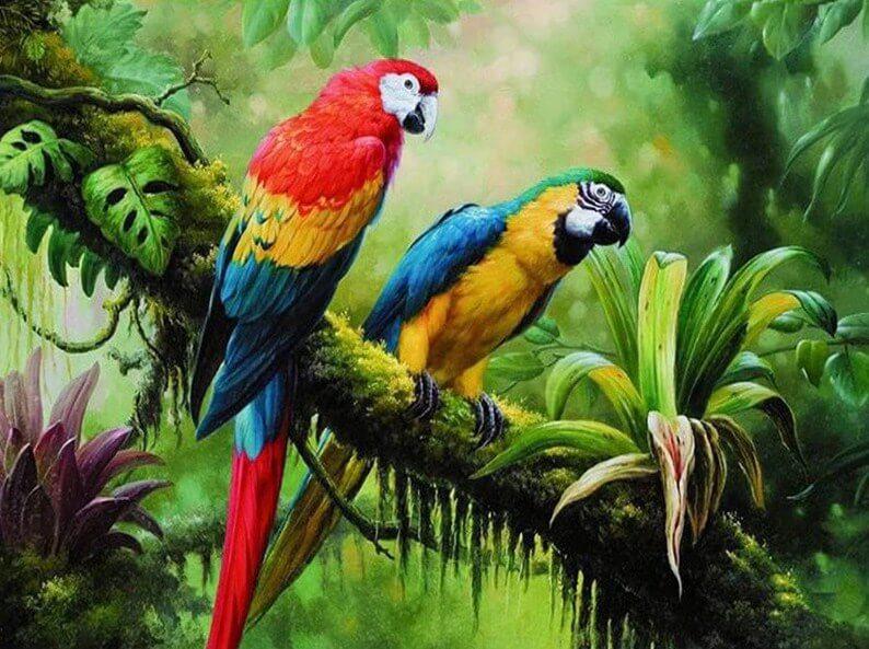 Parrots Diamond Painting Kit