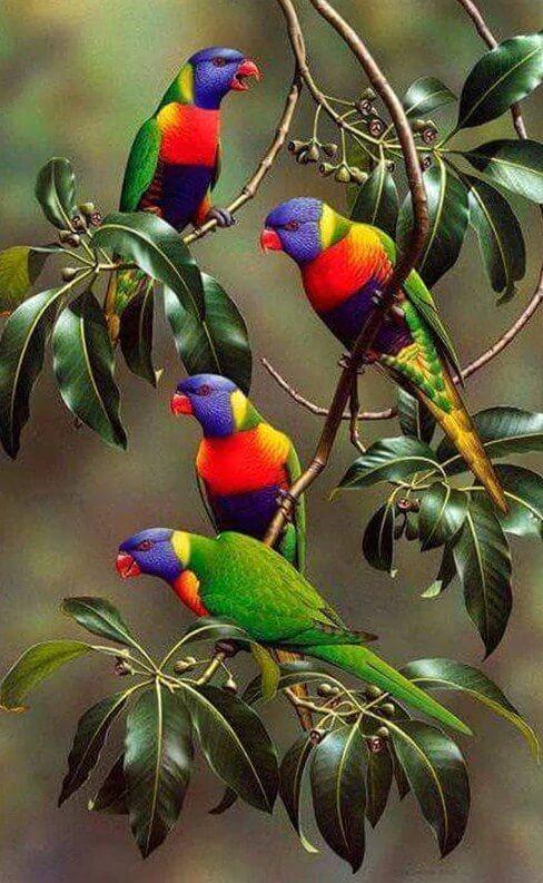 Parrots on Branches of Tree