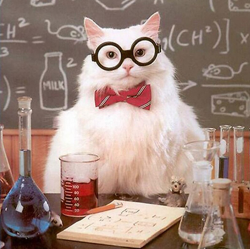 Cute Cat Professor  - 5D Diamond Kit