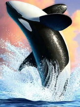 Load image into Gallery viewer, Dolphin Jumping in Sea - Diamond Art Painting
