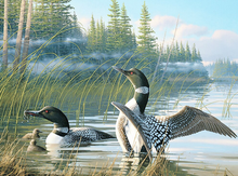 Load image into Gallery viewer, Duck in Lake 5D Diamond Art Painting