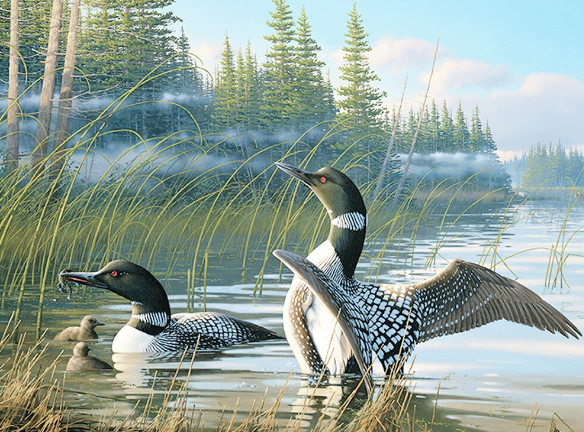 Duck in Lake 5D Diamond Art Painting
