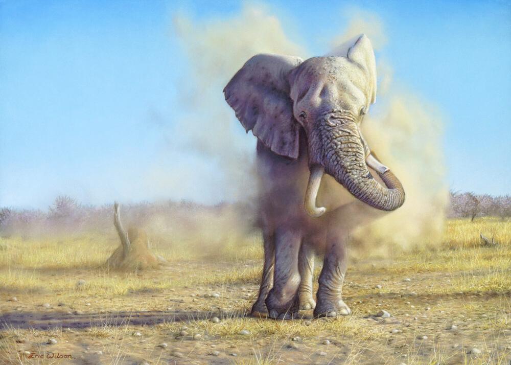 Elephant Dusting