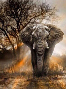 Forest Elephant Diamond Art