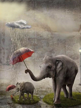 Load image into Gallery viewer, Elephant with Calf - 5D Diamond Painting