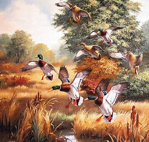 Ducks Diamond Painting