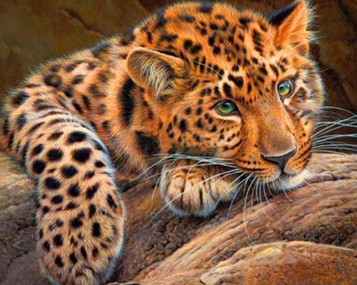Cheetah Diamond Painting Kit
