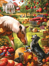 Load image into Gallery viewer, Horse and Dog - Paints by Diamonds Art kit