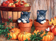 Load image into Gallery viewer, Kitten Watching Pumpkin - 5D Paint by Diamond Art Kit