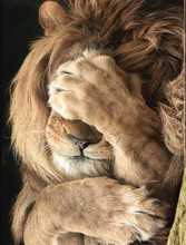 Load image into Gallery viewer, Lion Painting - 5D Diamond Art