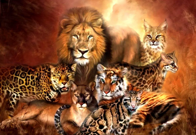 Lion Tiger Leopard - Diamond Art Painting